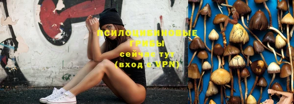 эйфоретик Белокуриха