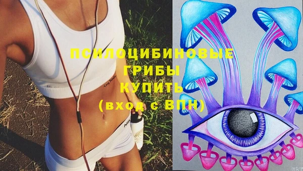 ГАЛЛЮЦИНОГЕННЫЕ ГРИБЫ Белоозёрский