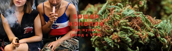 ГАЛЛЮЦИНОГЕННЫЕ ГРИБЫ Белоозёрский