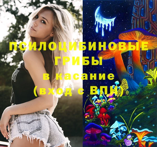 бошки Беломорск