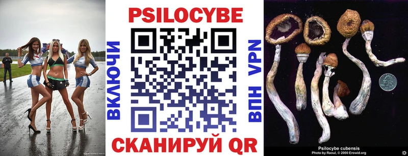 Псилоцибиновые грибы MAGIC MUSHROOMS  Верхотурье 